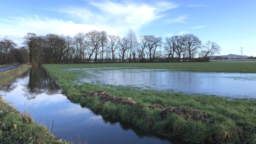 The Somerset Levels