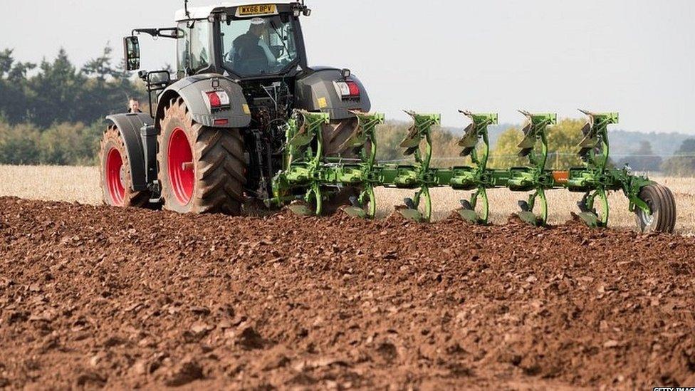 Tractor ploughing a field