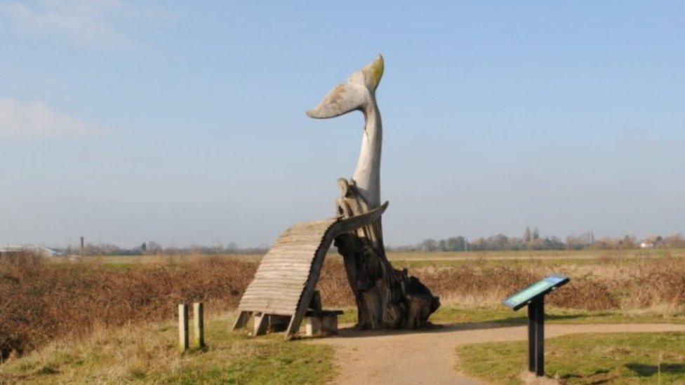 Photo of a whale sculpture in King's Lynn