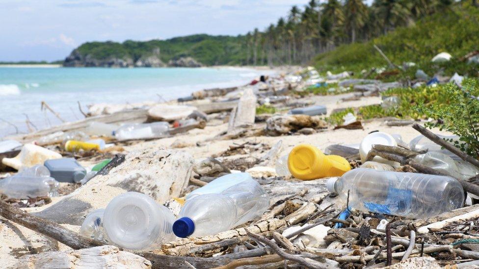 Garbage and pollution on a Tropical beach