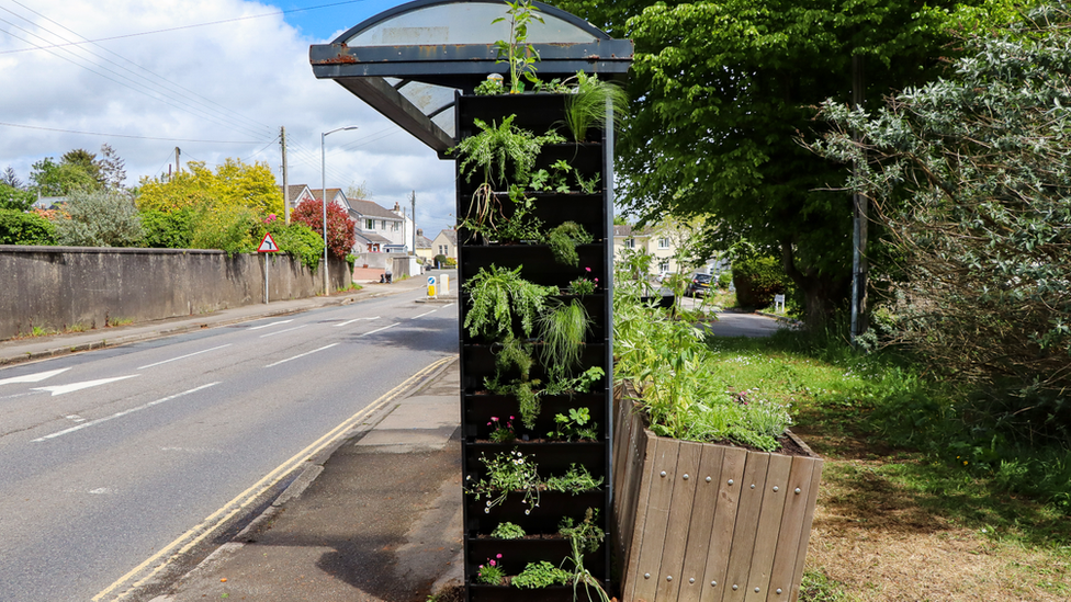 Planter at bus stop