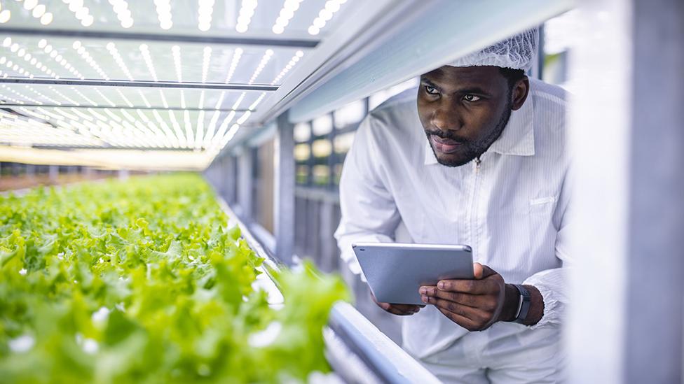 Vertical agriculture