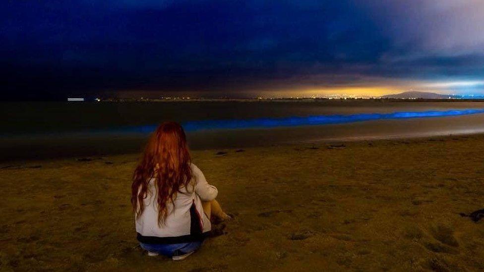 A woman on Averavon Beach, Port Talbot, staring out to see with lit with bioluminescent plankton