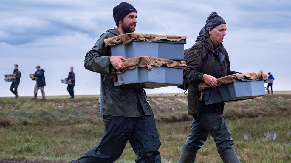 Members of the Wash Wader Research Group