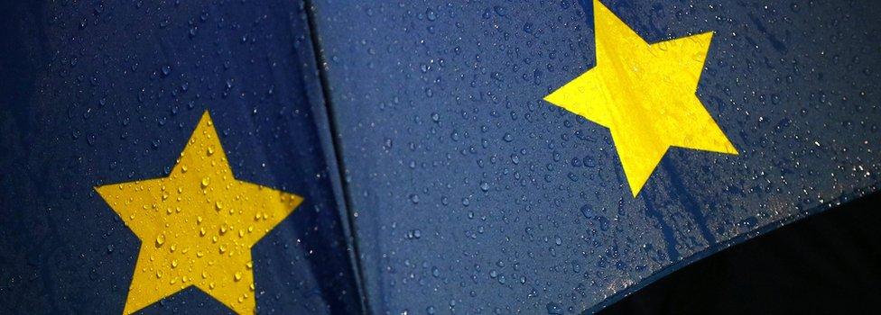 EU umbrella