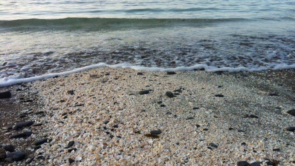 New Quay beach