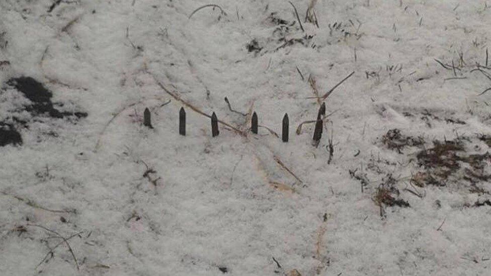 Spikes discovered on tracks