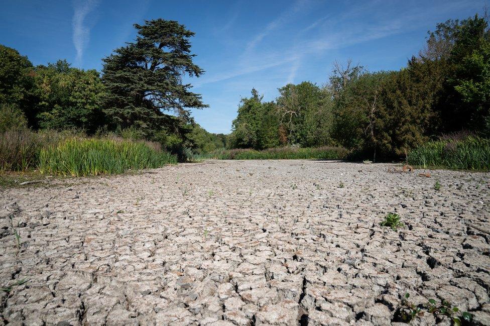 A dried up lake in Wanstead Park, north east London