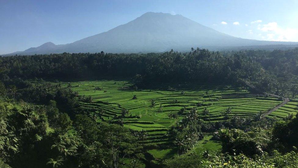 Landscape shot of fields and the volcano in he background