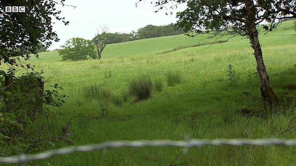 An unwooded field