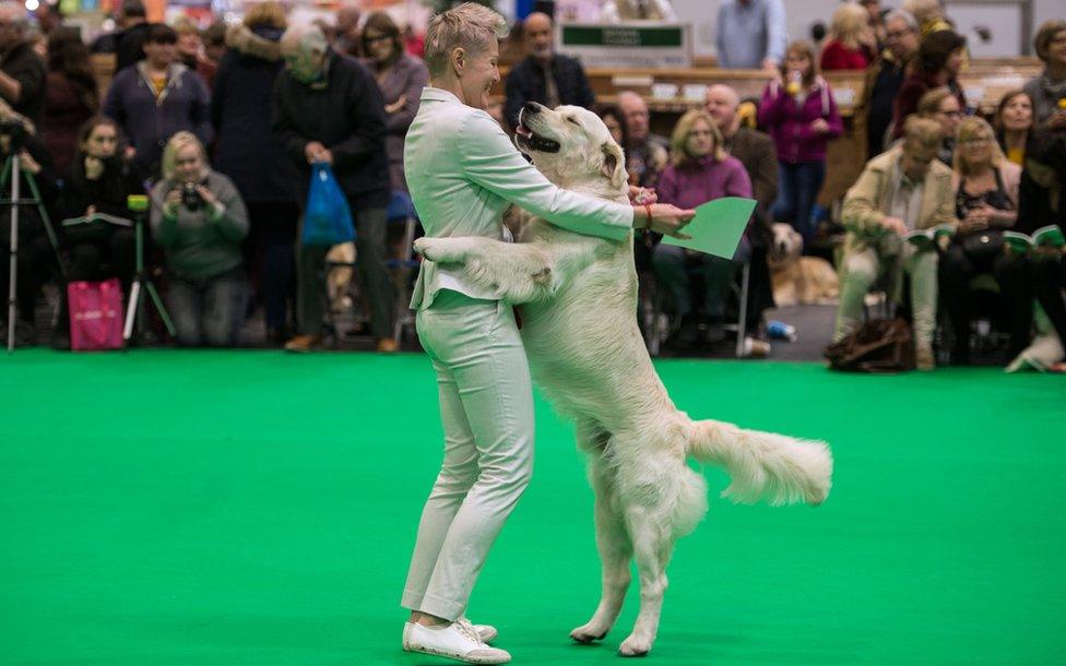 Woman and golden retriever