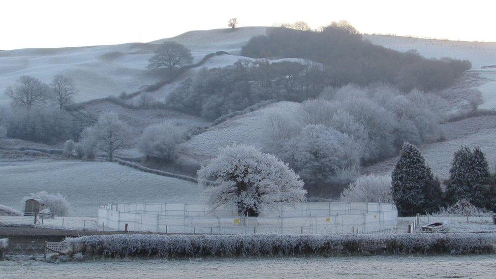 Brimmon Oak in Newtown, Powys