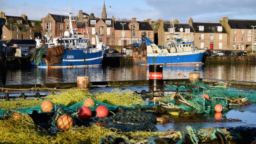 Peterhead harbour