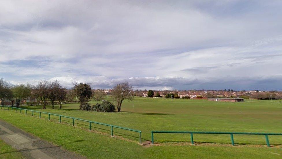 Urban park consisting of grass and trees