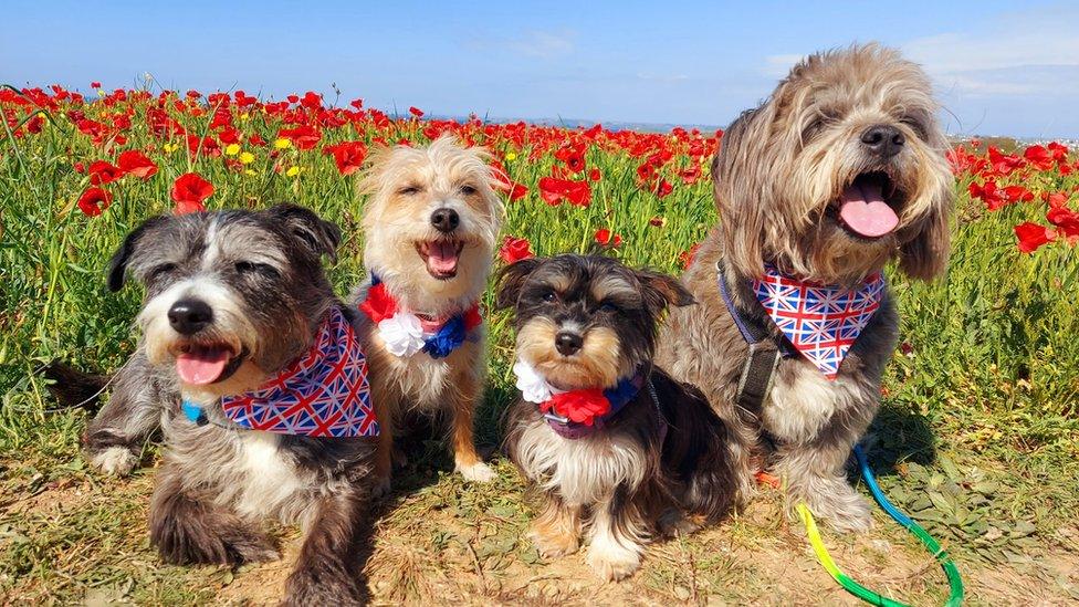 Alfred, Maggie, Violet and Humphrey