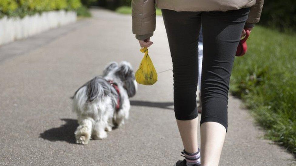 Dog walker