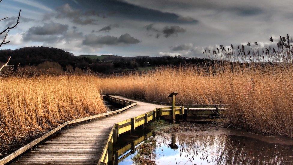 RSPB reserve, Conwy