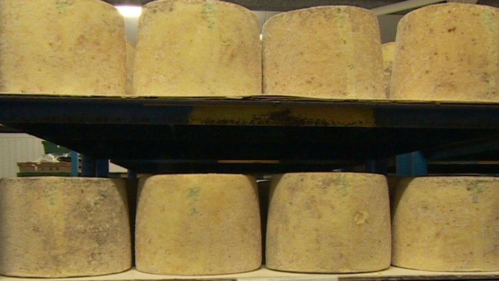 Blocks of Mrs Kirkham's Lancashire cheese on display