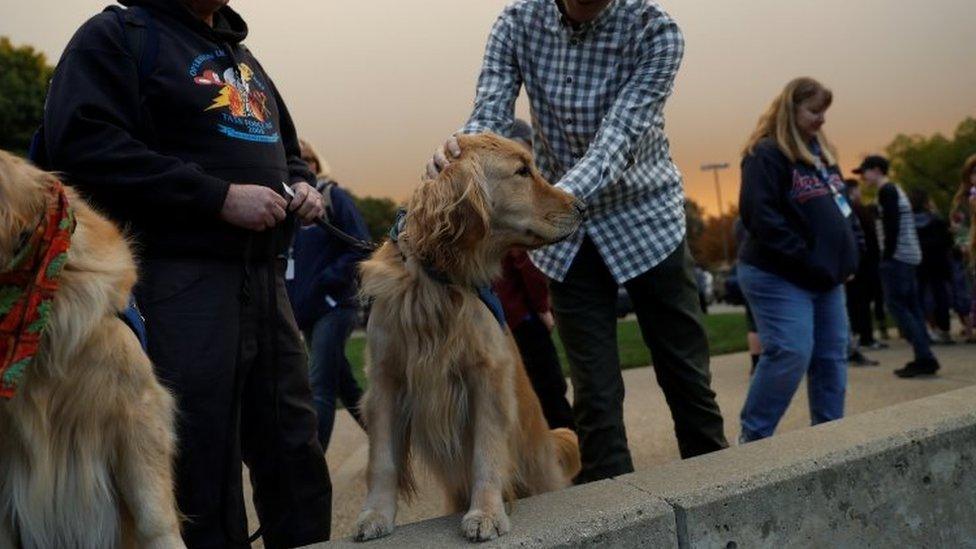 Dog is petted by a local man