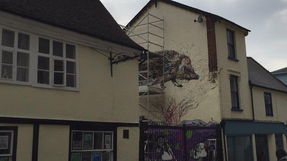 Hedgehog mural in Ipswich