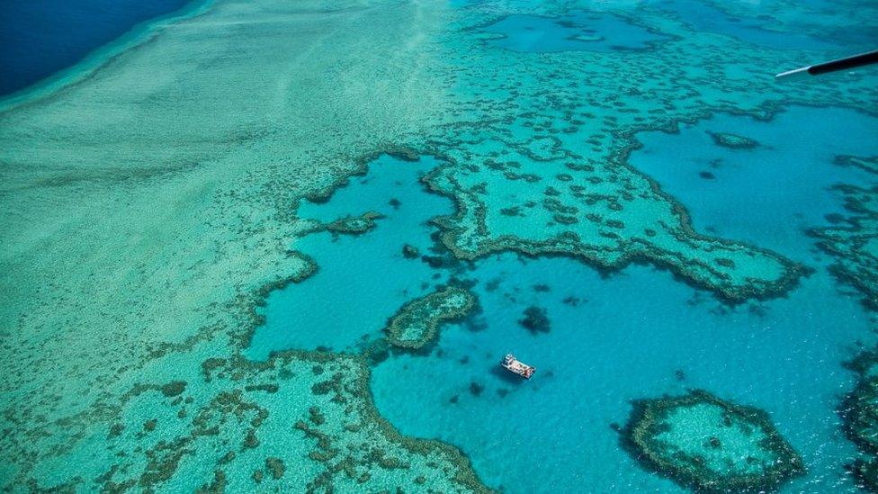 An aerial shot of the Great Barrier Reef in Queensland