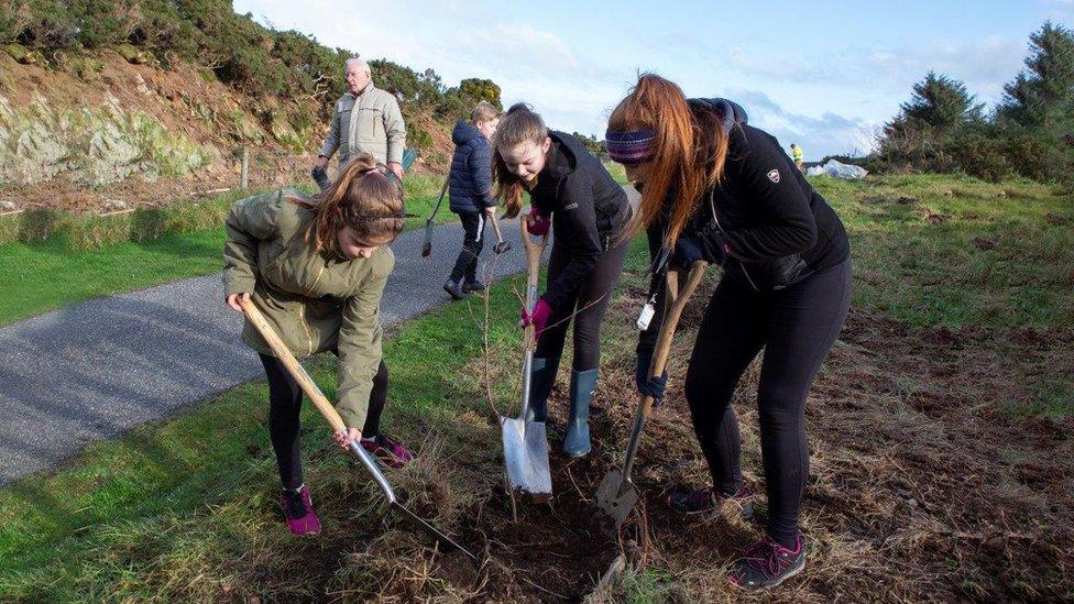 Clann-sgoile a' cur chraobhan