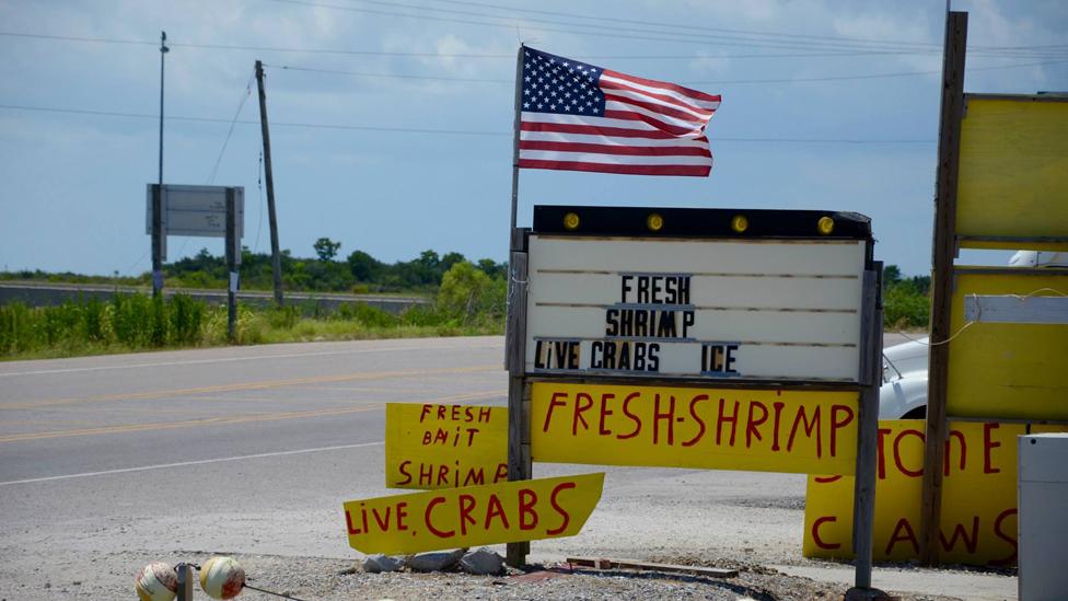 selling fresh shrimp