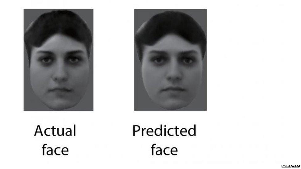 Faces shown to the monkeys were almost identical to reconstructions made by monitoring brain activity