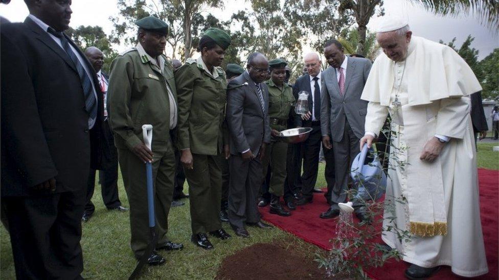 Pope Francis (R) waters a plant next to Kenya"s President Uhuru Kenyatta during a ceremony at the State House in Kenya"s capital Nairobi,