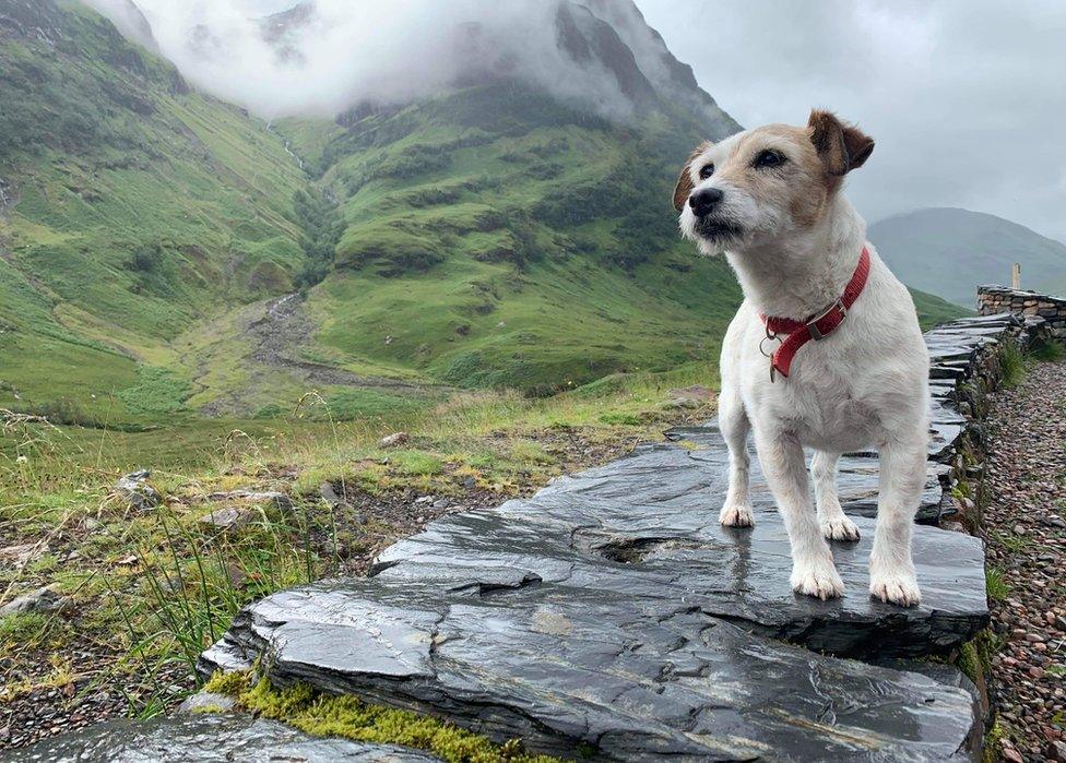 Madge taken at Glencoe