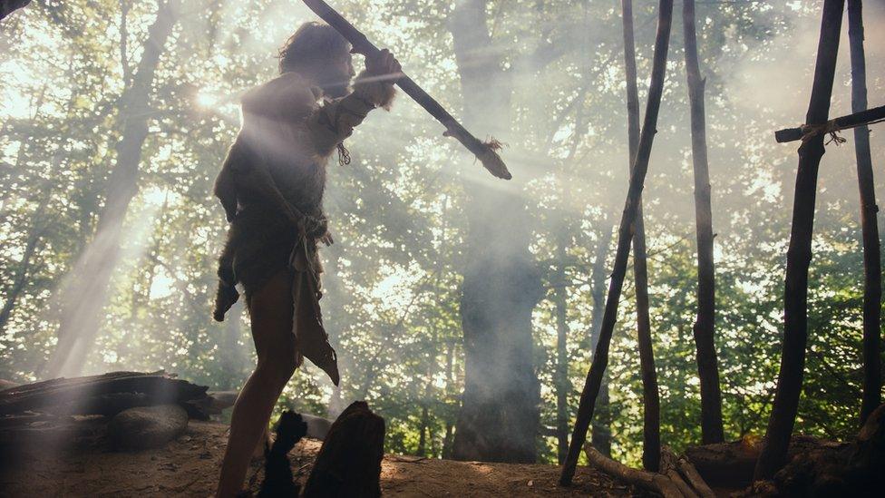 An actor dressed as a Caveman Wearing Animal Skin Holds Stone Tipped Spear.