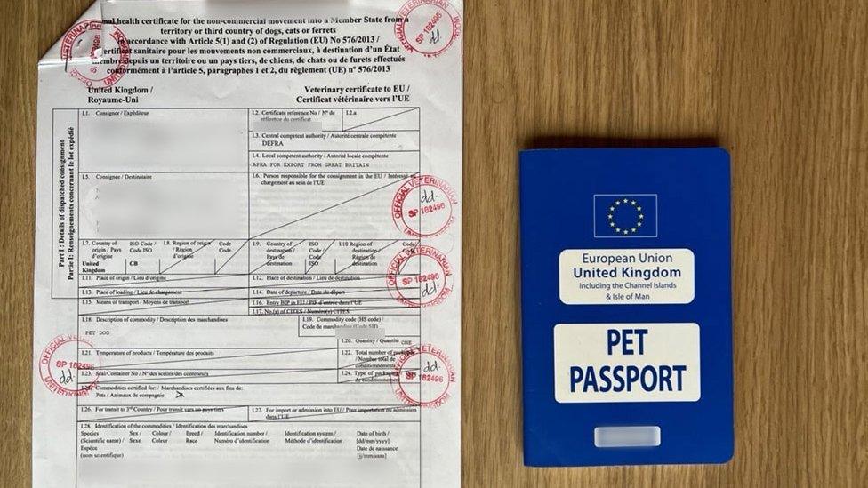 An Animal Health Certificate alongside an expired EU pet passport issued in the UK