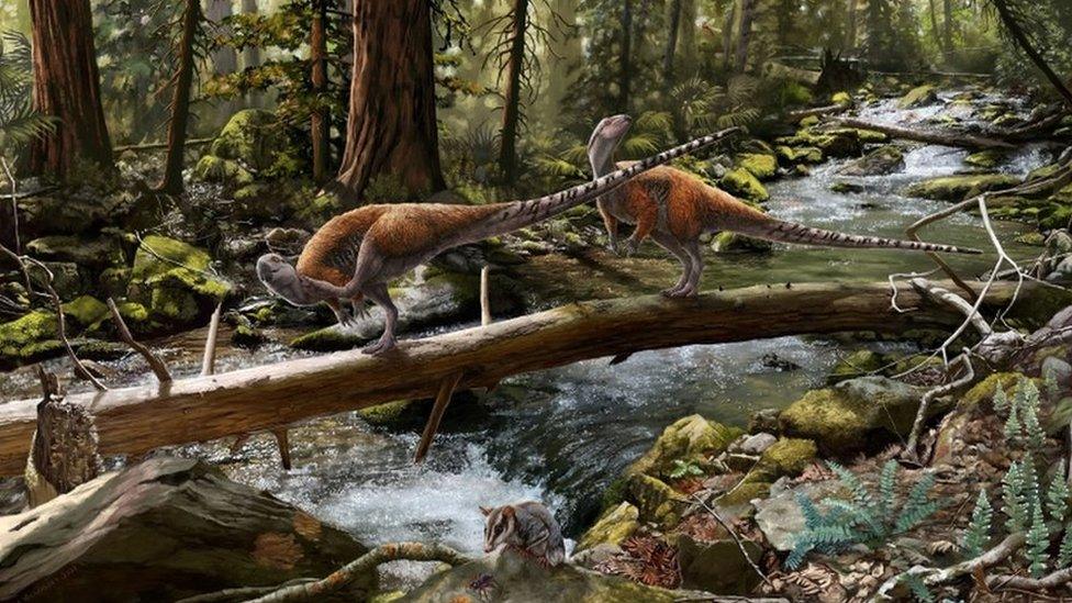 Artist's impression of how Vectidromeus insularis might have looked