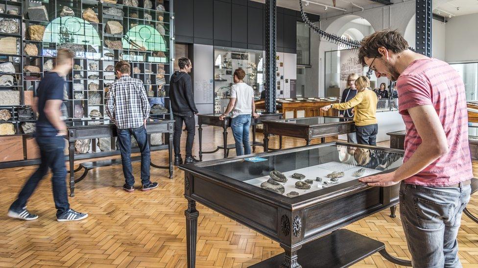 The Lapworth Museum of Geology