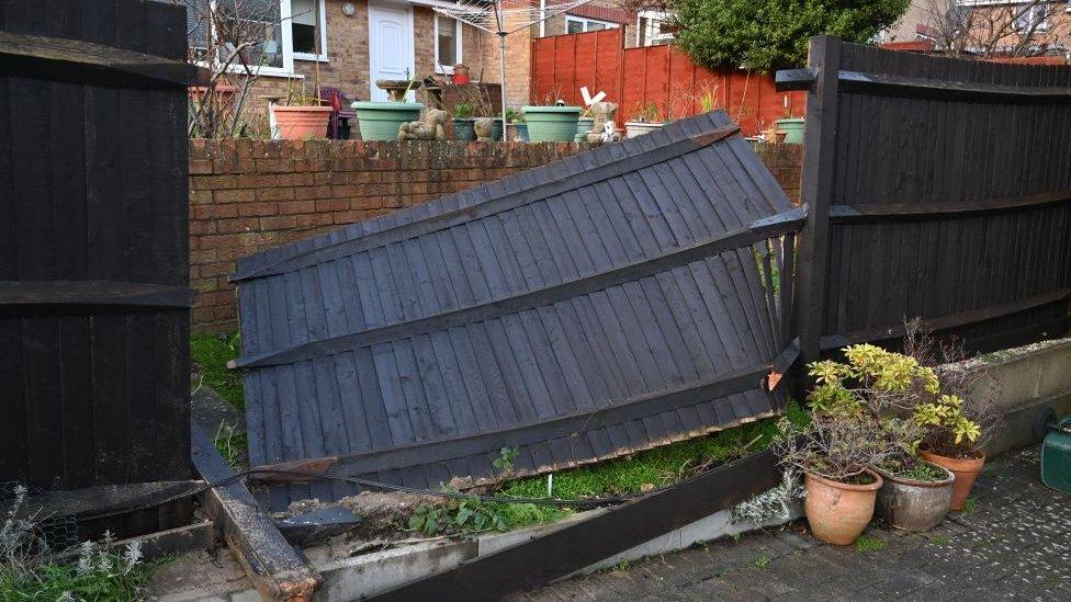 Broken garden fence