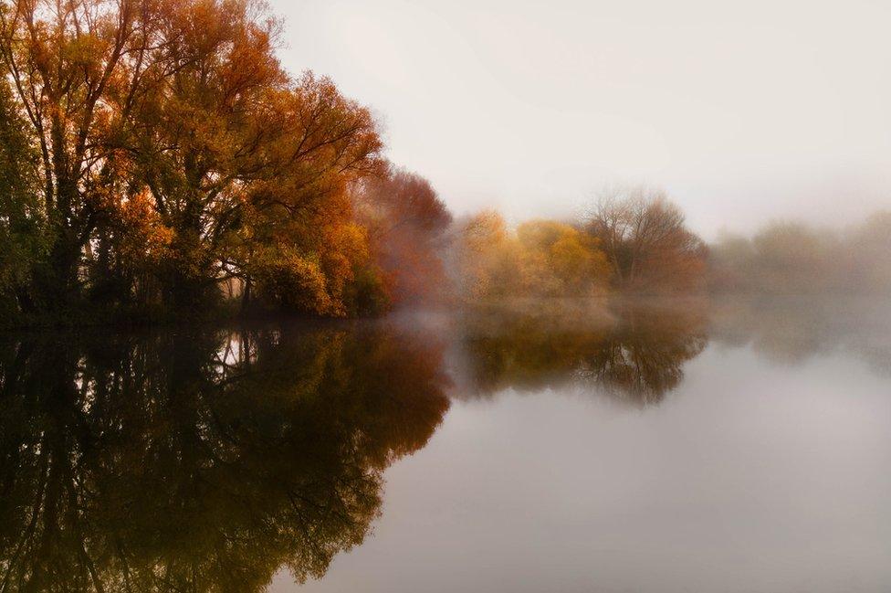 Autumnal trees reflecting on a lake