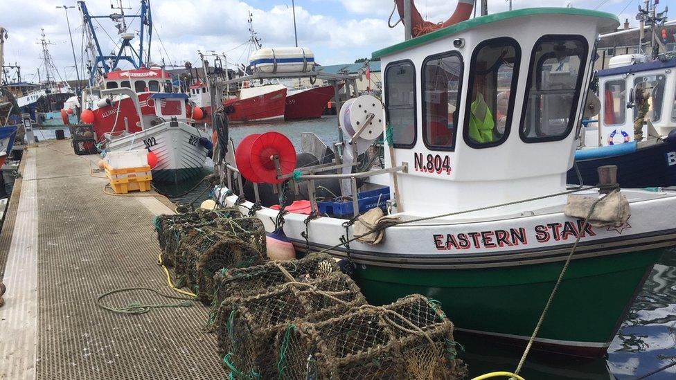 Fishing boats in Portavogie Harbour