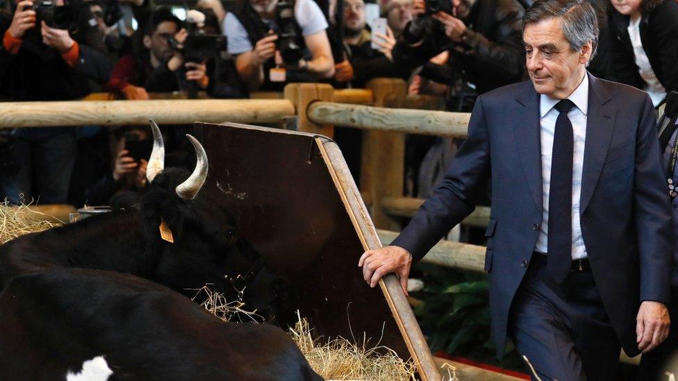 France's centre-right presidential candidate, Francois Fillon, visits a stall at Paris International Agriculture Fair on 1 March