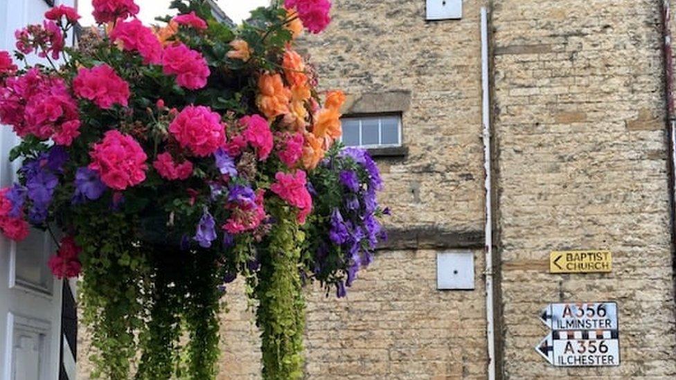 A hanging basket full of pink and purple trailing flowers