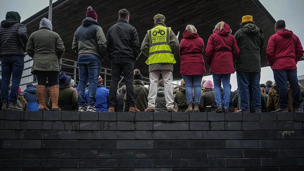 Proestwyr o flaen y Senedd