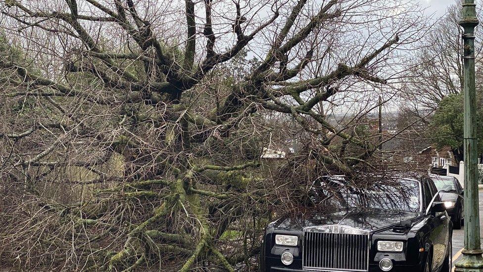 A Rolls Royce in Hove, beneath a tree felled by the storm