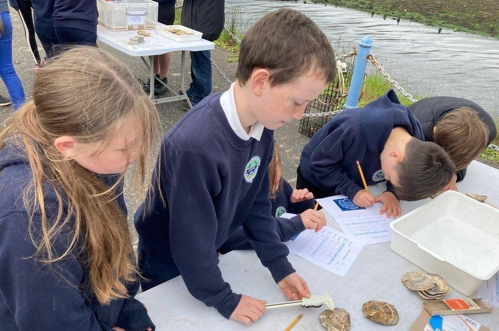 Children from Seaview Integrated Primary School in Glenarm