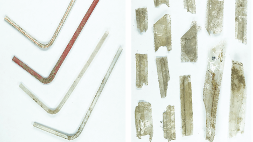 Plastic drinking straws and wrapper fragments found at the Castell Henllys site