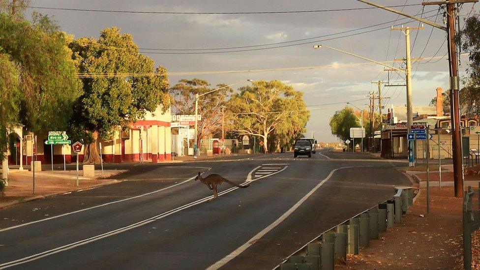 A kangaroo hops across a street in Wilcannia