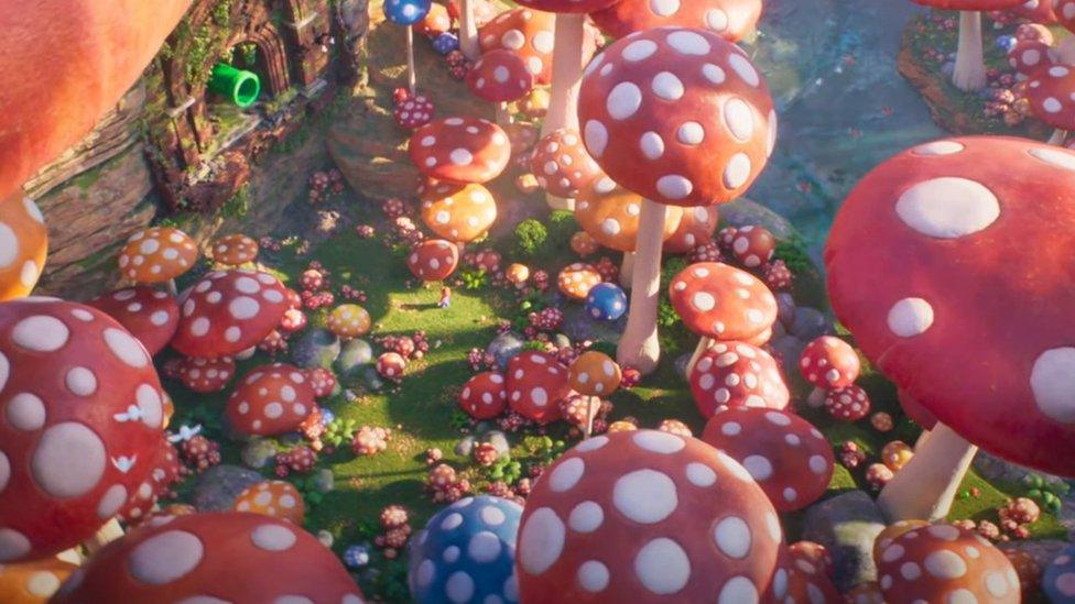 Mushroom kingdom