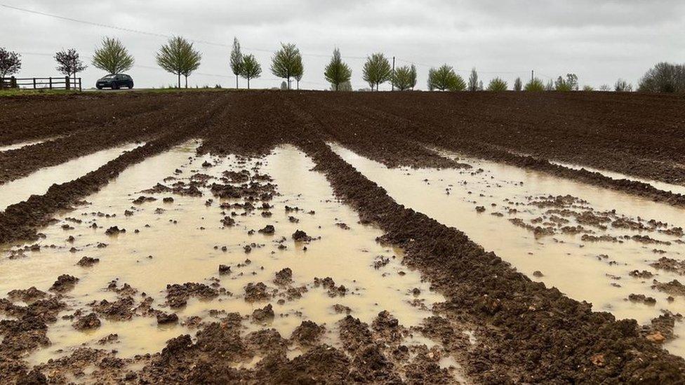 Sodden field