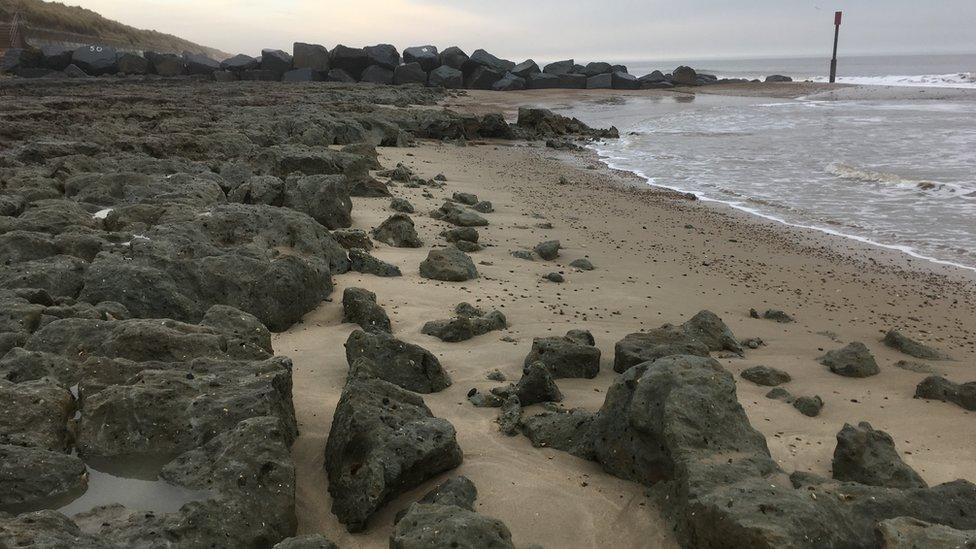 Clay exposed at Somerton Holmes gap between Winterton and Horsey