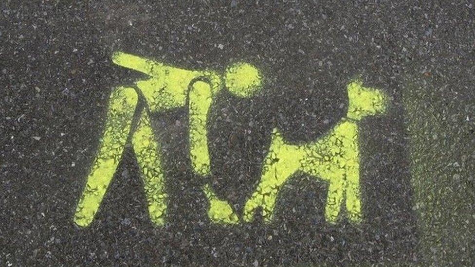 A painted pavement sign telling dog owners to clean up after their animals