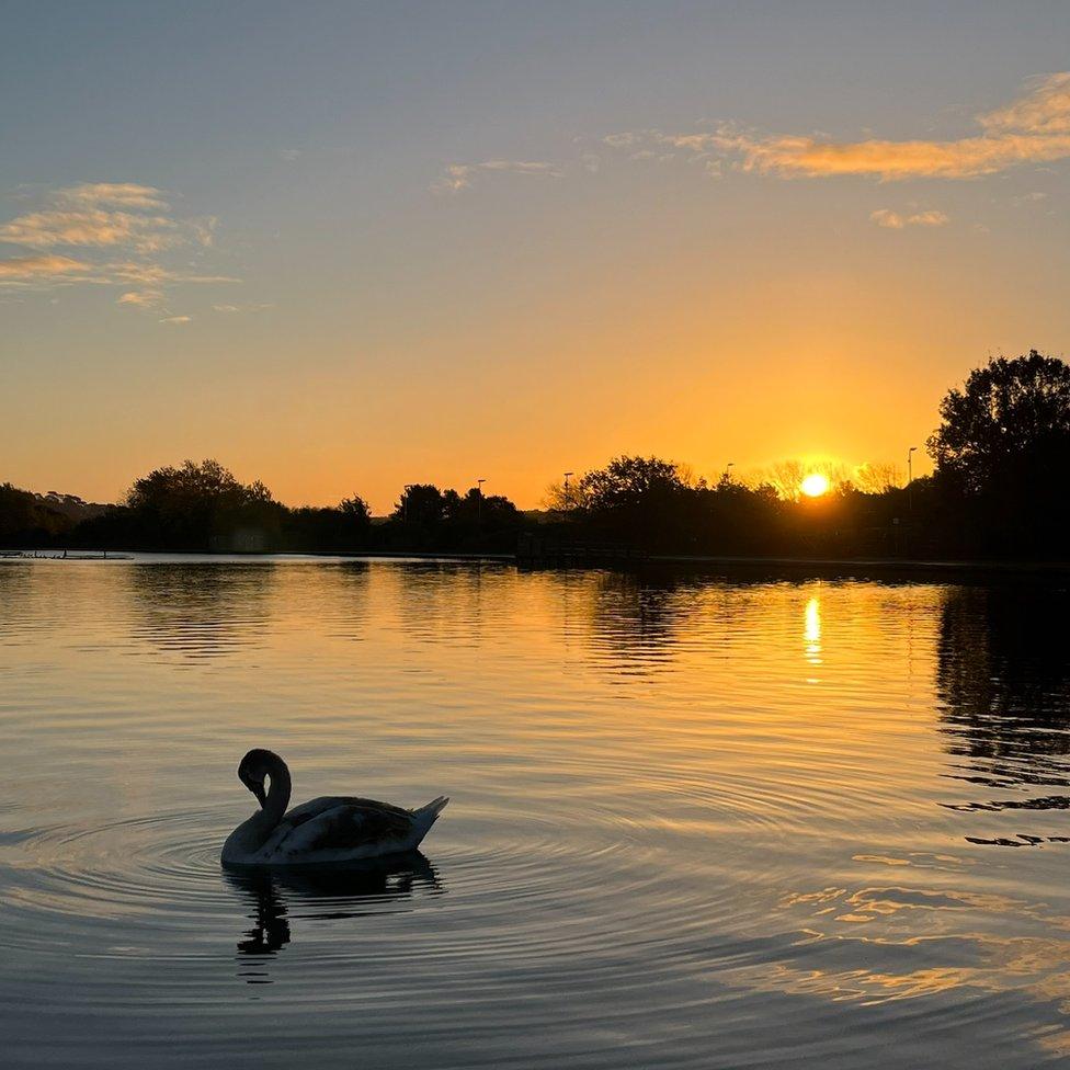 FRIDAY - Poole Park