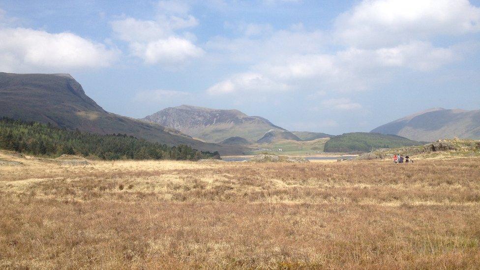 Peatlands at Rhyd Ddu, Snowdonia